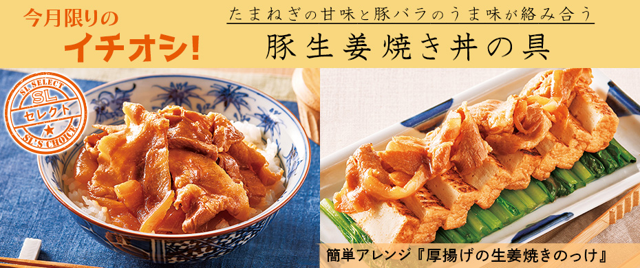 SLプレミアム　2503