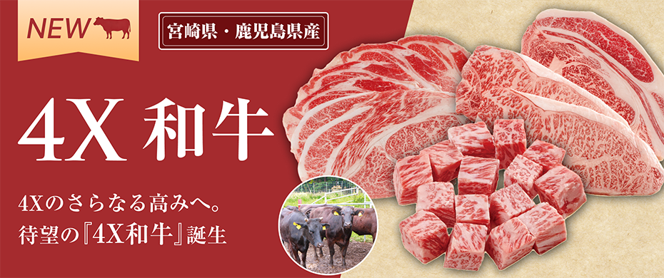 4xmeat2026和牛