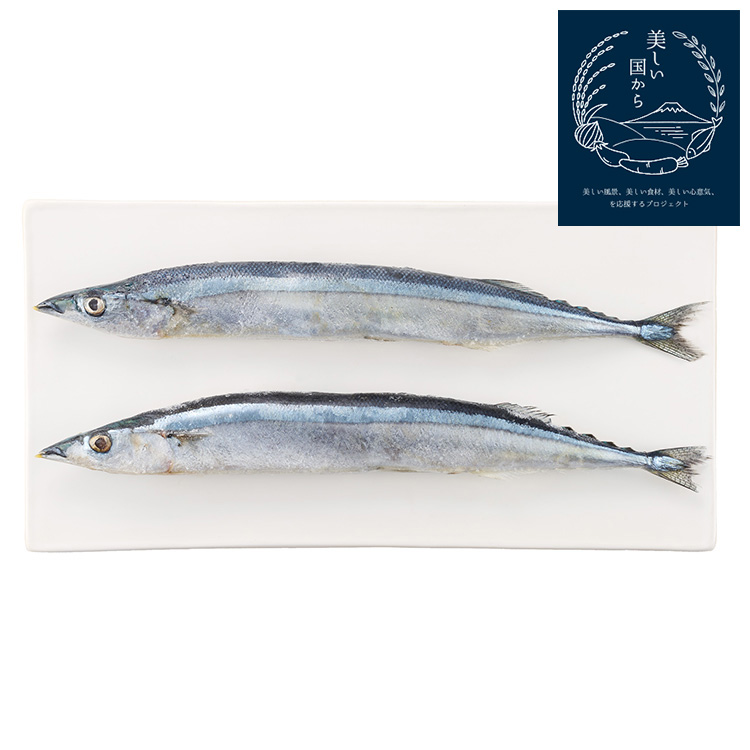 北海道産さんま