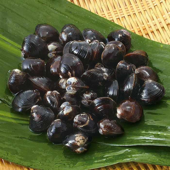 宍道湖産大和しじみ