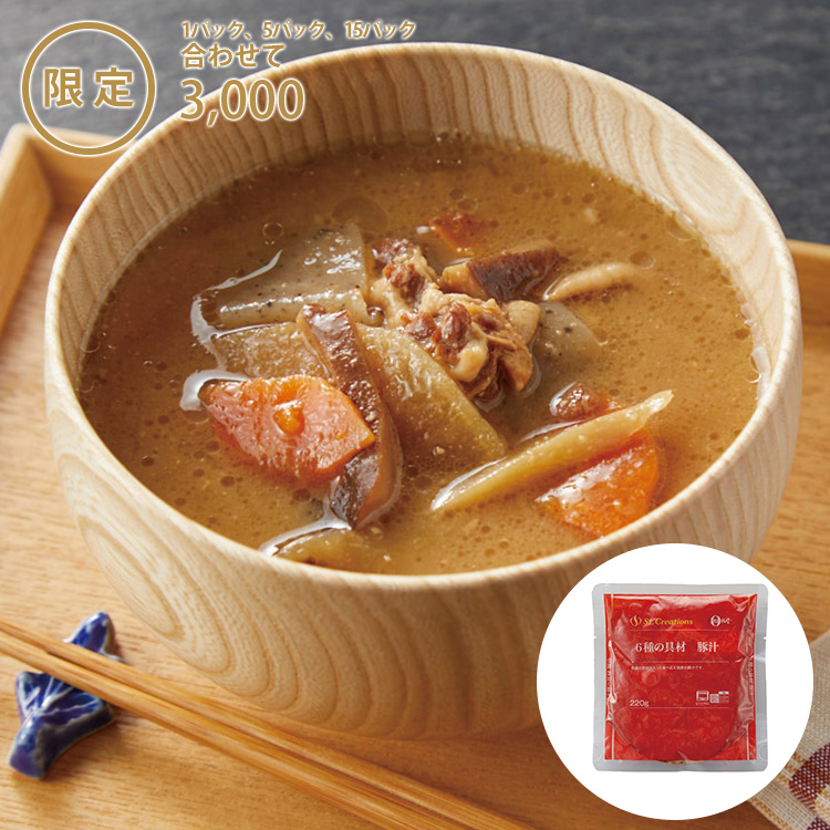 ６種の具材　豚汁