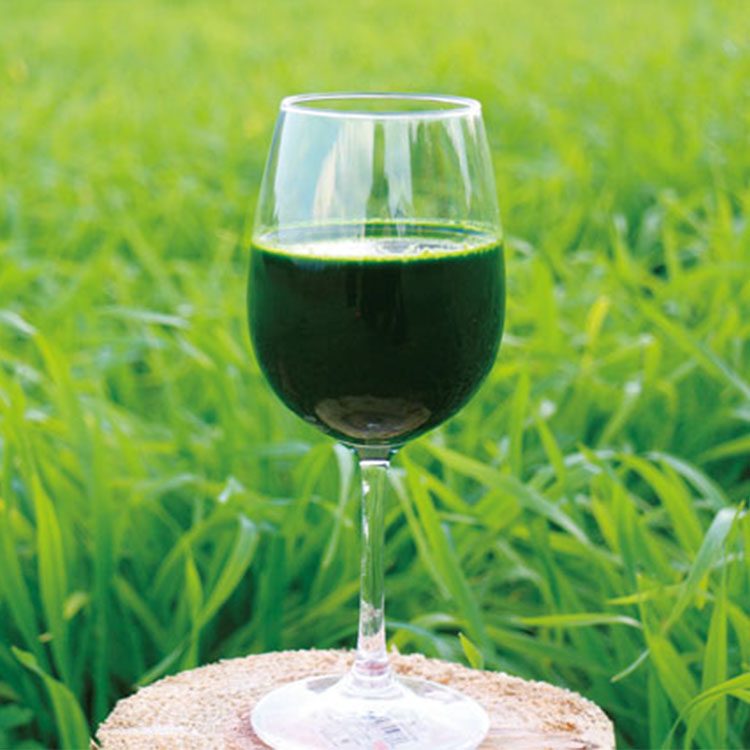 バーレーグリーン