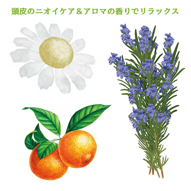 薬用スカルプシャンプー２本セット