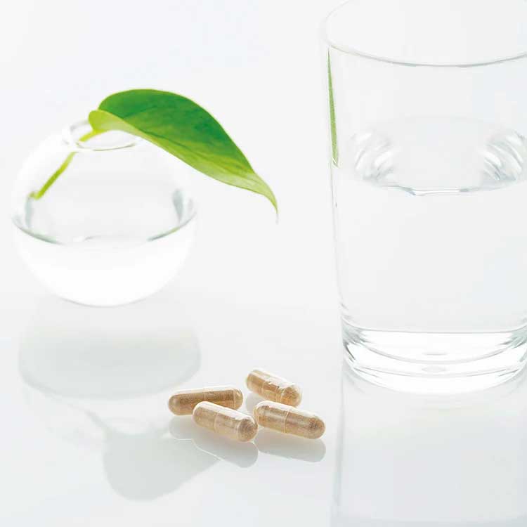 シュガーコリン