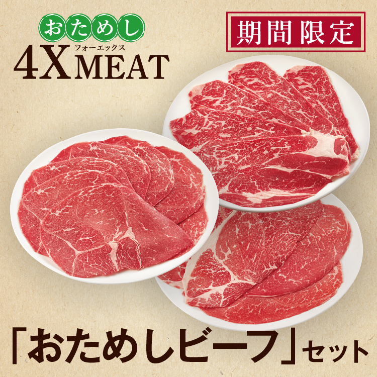 おためしビーフセット