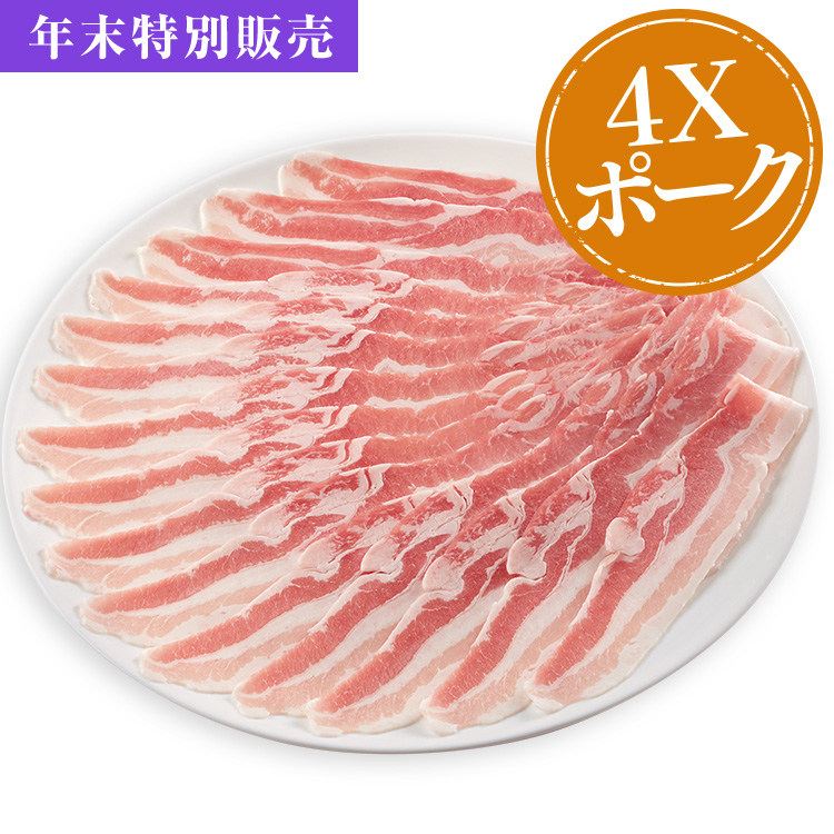 ポークベーシックＡコース