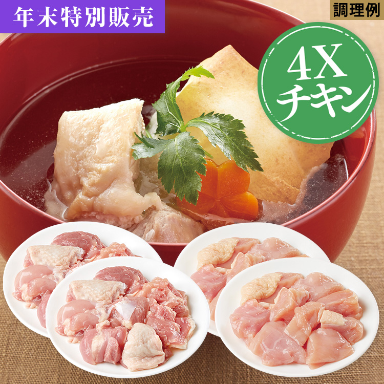 ４Ｘチキンぶつ切りＧコース