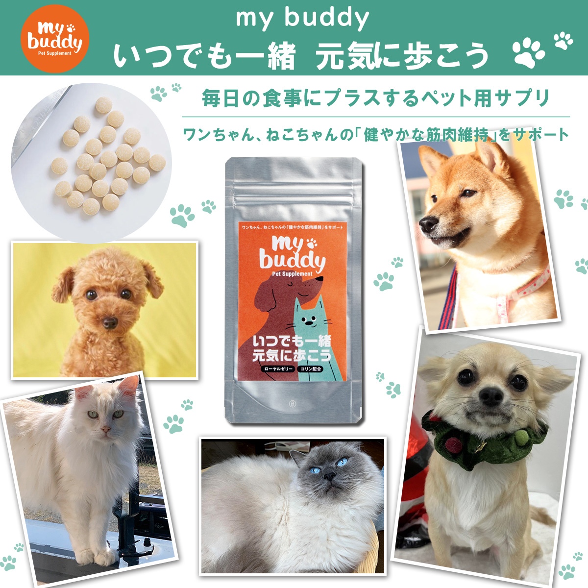 いつでも一緒　元気に歩こう