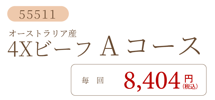 4XビーフAコース