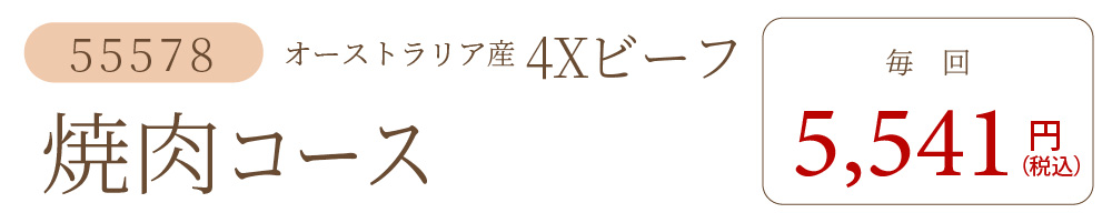 4Xビーフ焼肉コース