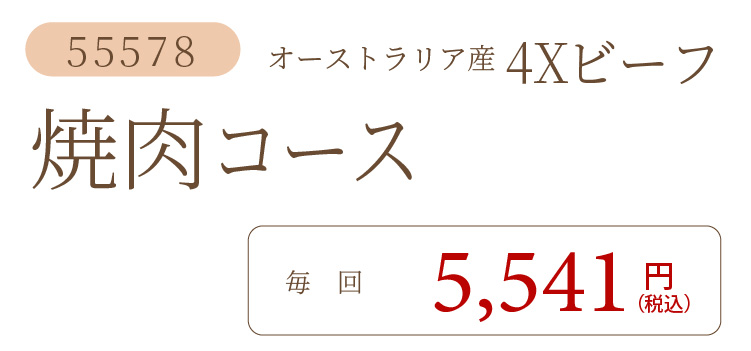 4Xビーフ焼肉コース
