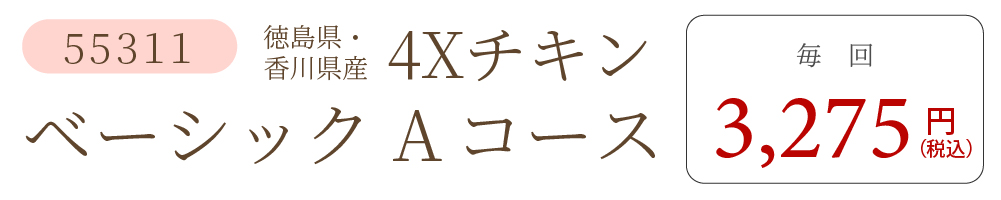 4XチキンAコース