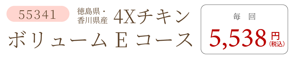 4XチキンEコース