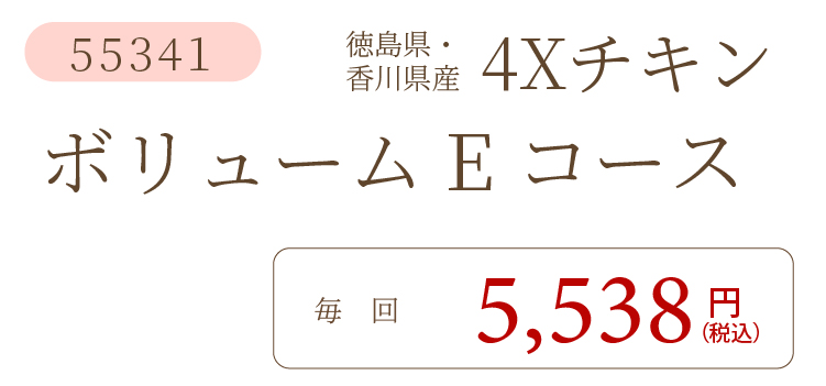 4XチキンEコース