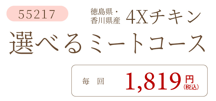 4Xチキン選べるミートコース
