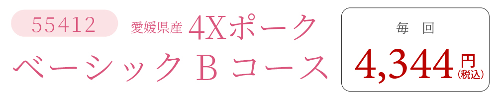 4XポークBコース