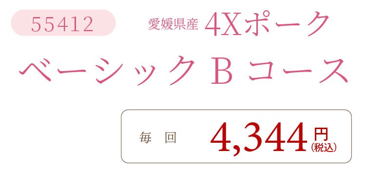 4XポークBコース