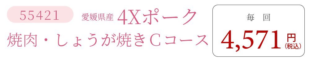 4XポークCコース