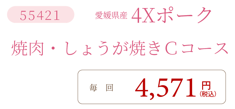 4XポークCコース