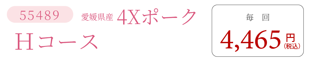 4XポークHコース
