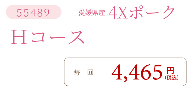 4XポークHコース