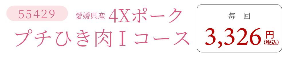 4XポークIコース