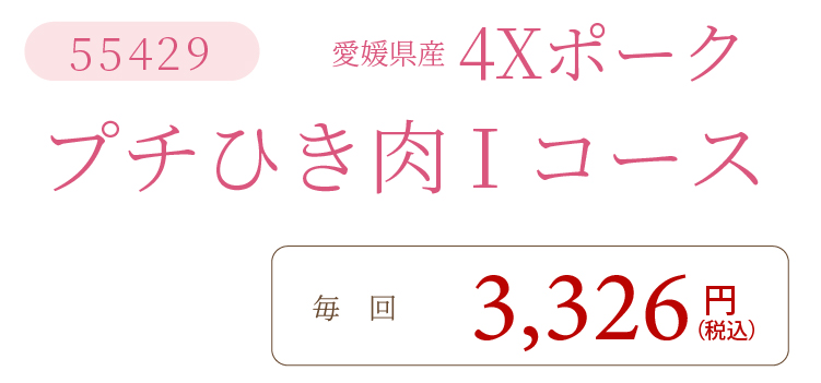 4XポークIコース