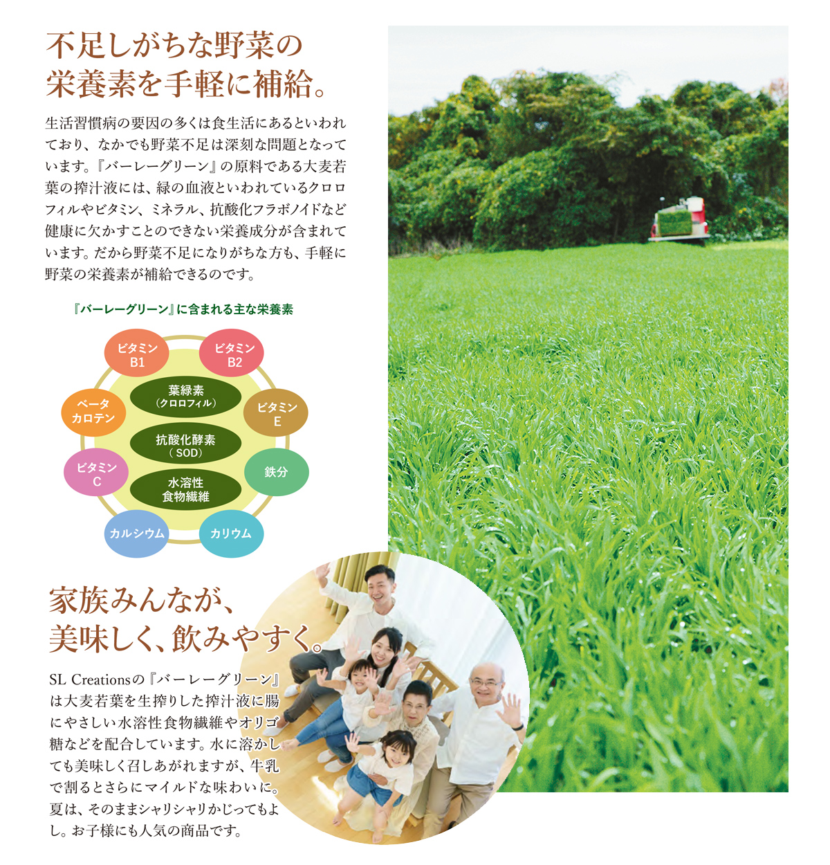 バーレーグリーン