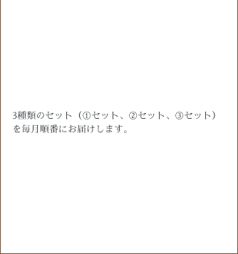 4Xチキンセット⑦
