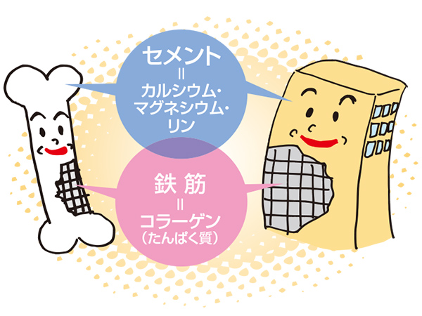 うなぎの骨から作ったカルシウム