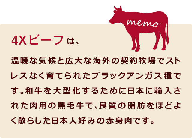 4Xビーフ