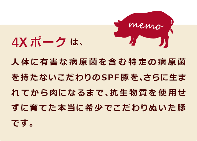 4Xポーク